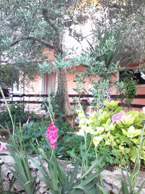 Apartments Vendi Sibenik Exterior photo